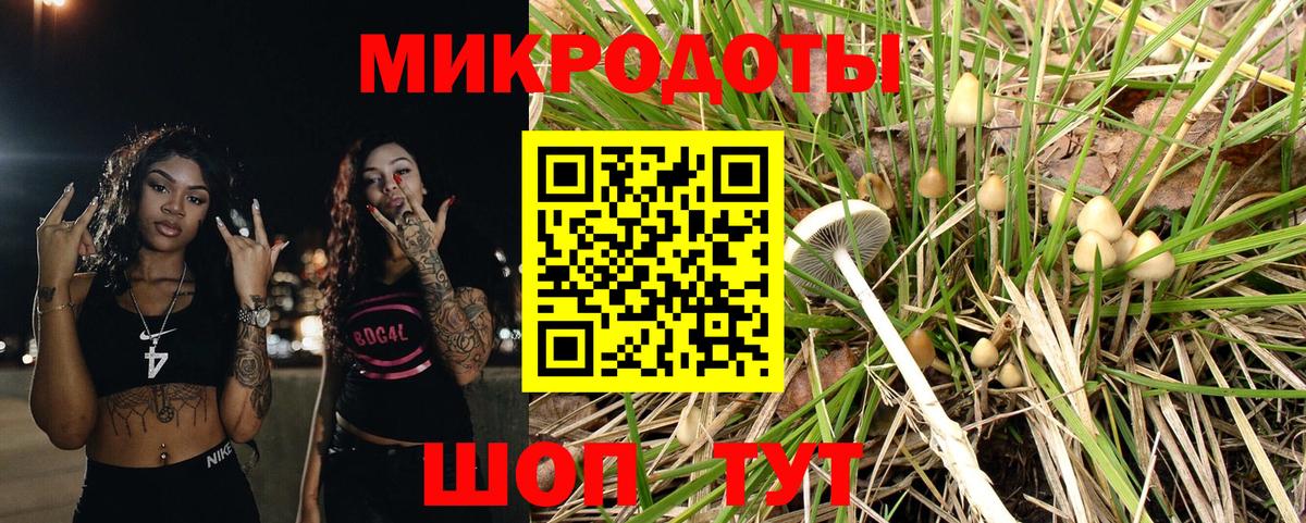 Лабытнанги  Псилоцибиновые грибы Magic Shrooms  Вход с VPN 