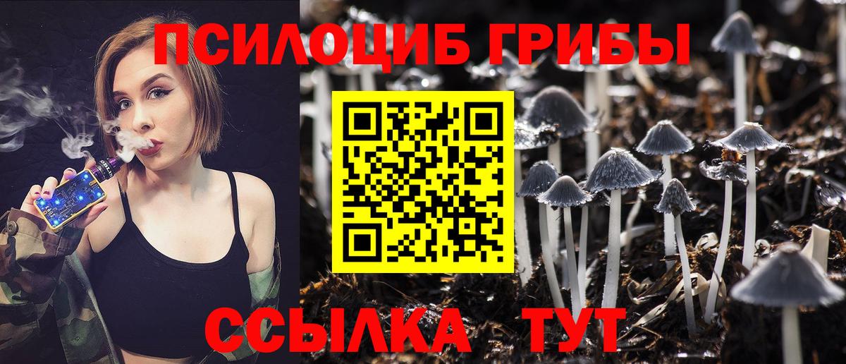 Псилоцибиновые грибы Cubensis Лабытнанги